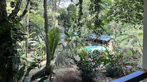 Un jardin luxuriant, avec une variété de plantes, et un petit bâtiment surmonté d’un toit bleu.