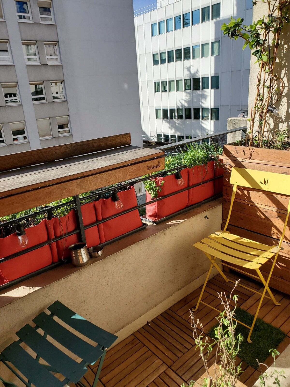 Image de profil de l’hôte