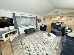 Smart TV, fireplace, books, stereo