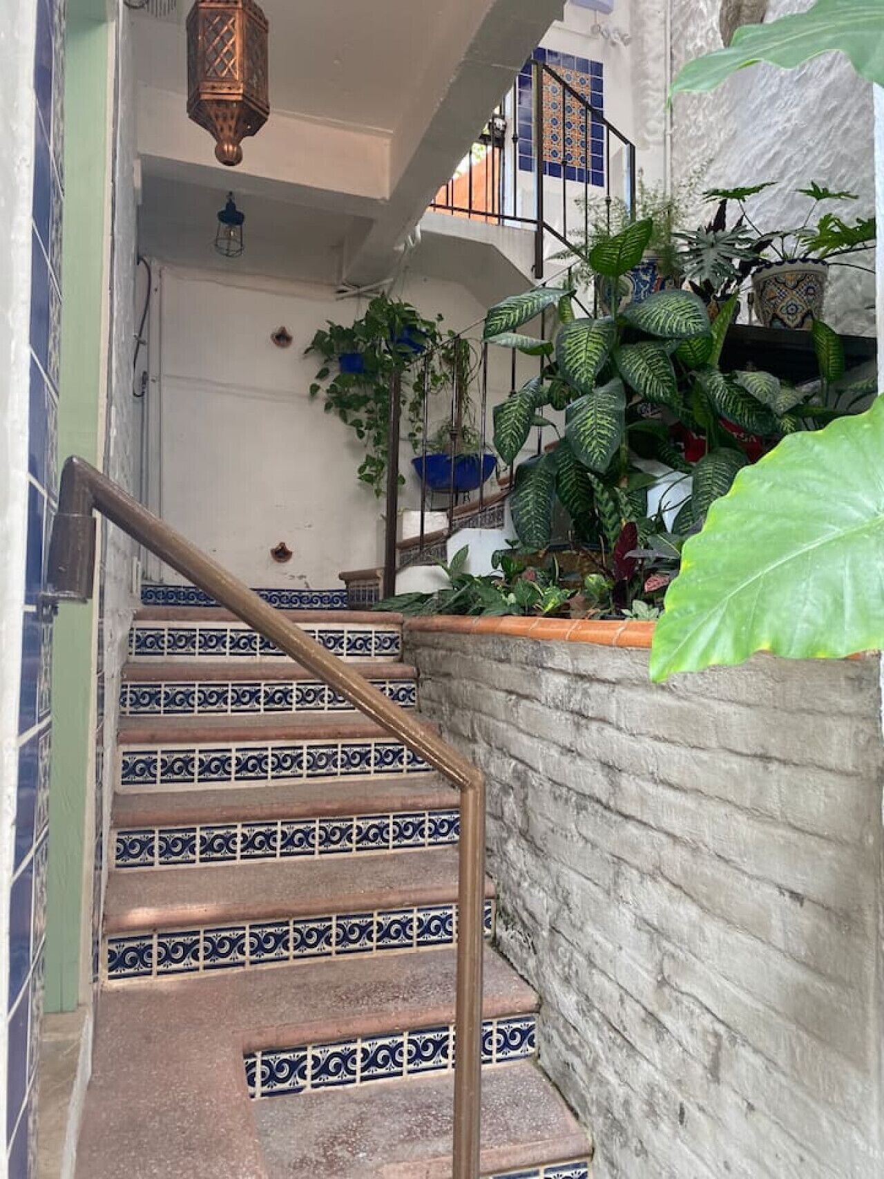 Un escalier orné de carreaux décoratifs, une rampe métallique et des plantes en pot.