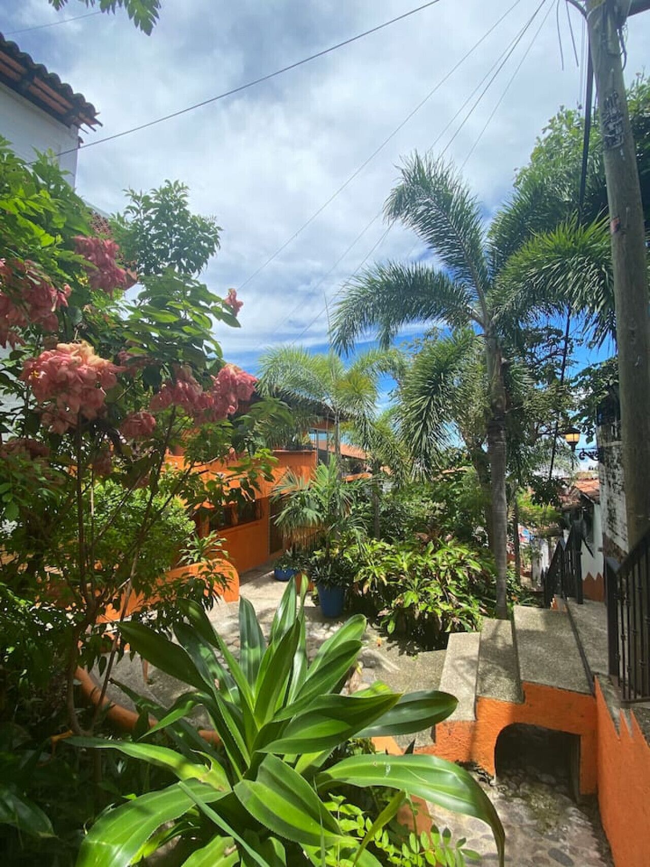 A courtyard with potted plants, palm trees, and a tiled roof.