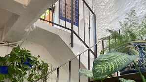 A spiral staircase with a white wall and blue patterned tiles, surrounded by large green plants. - Studio Romantique – Your Tropical Hideaway in Historic Puerto Vallarta (Puerto Vallarta)