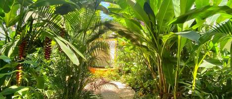 Un camino exuberante rodeado de abundante follaje tropical.