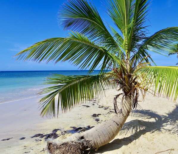 Beach nearby, sun-loungers, beach towels - 2 Bedroom penthouse Condo within a short walk to beautiful Las Ballenas Beach (Las Terrenas)