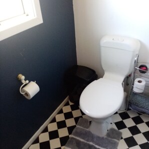 A bathroom with a toilet, a black trash bin, and a roll of toilet paper on the wall.