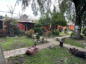 Eenvoudige kamer | Terras