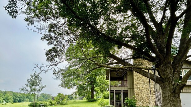 Una casa con fachada de piedra, un porche cubierto y un columpio bajo un árbol grande.
