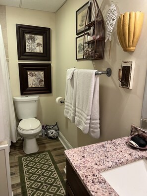 Hair dryer, towels, soap, shampoo