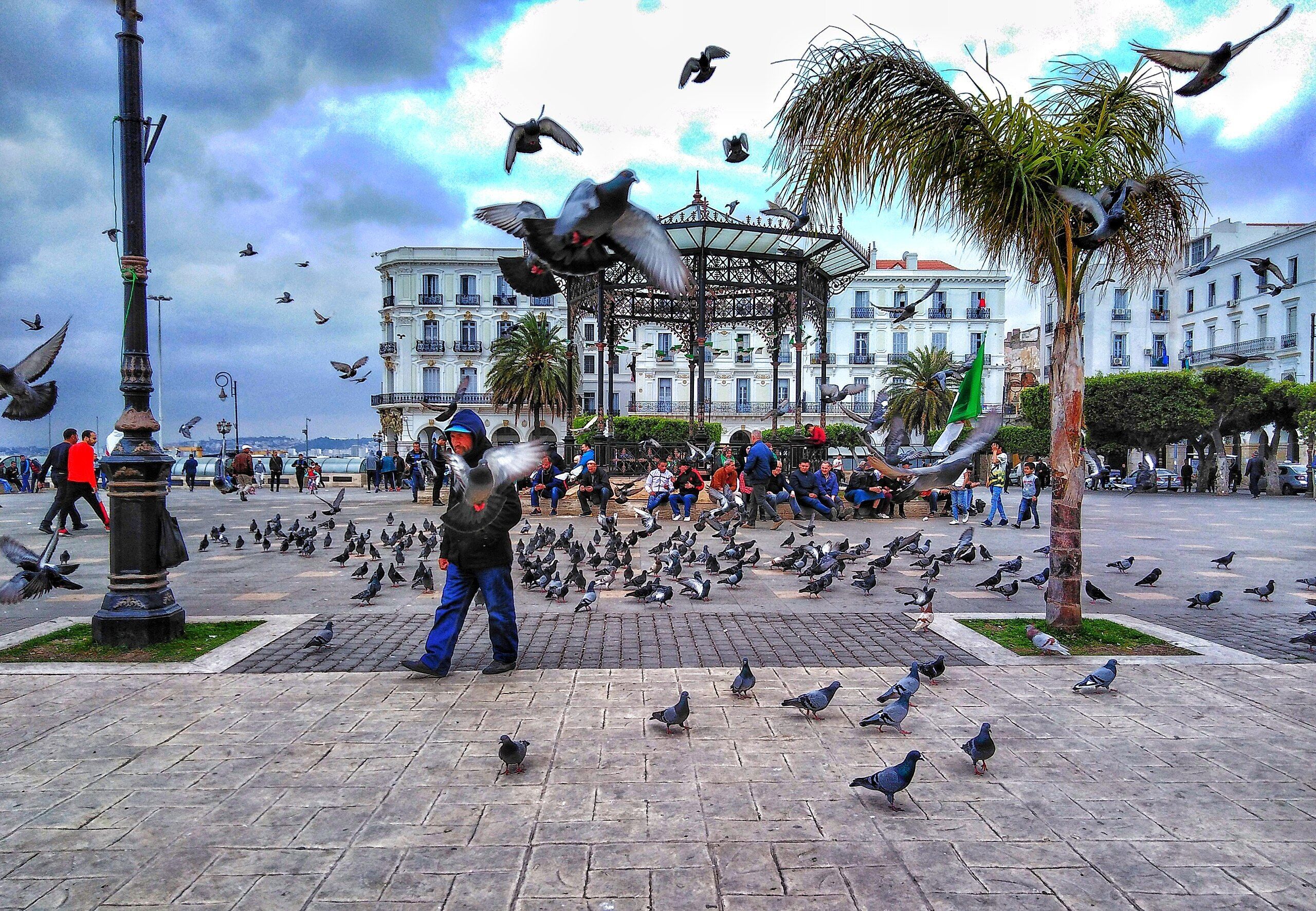 Foto - El Ghanami Hotel