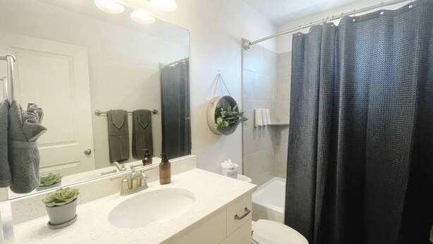 A bathroom with a white sink, mirror, and toilet. There is a shower curtain and a potted plant on the counter.