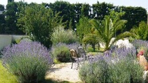 A garden with various plants and a chair. - Gemütliche Ferienwohnung, Ideal für 2 Personen, Große Terrasse und Swimming-pool (Arles)