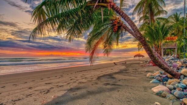 A beach with palm trees, a thatched umbrella, and a wooden structure. - Studio 1 for four to five guests (Parrita)