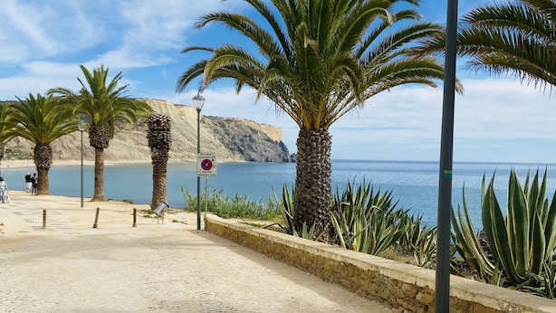 Une promenade dallée bordée de palmiers, avec vue sur la mer.