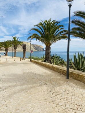 A paved walkway with palm trees and a view of the sea. - Casa Da Praia right on magical Luz beach
(Luz)
