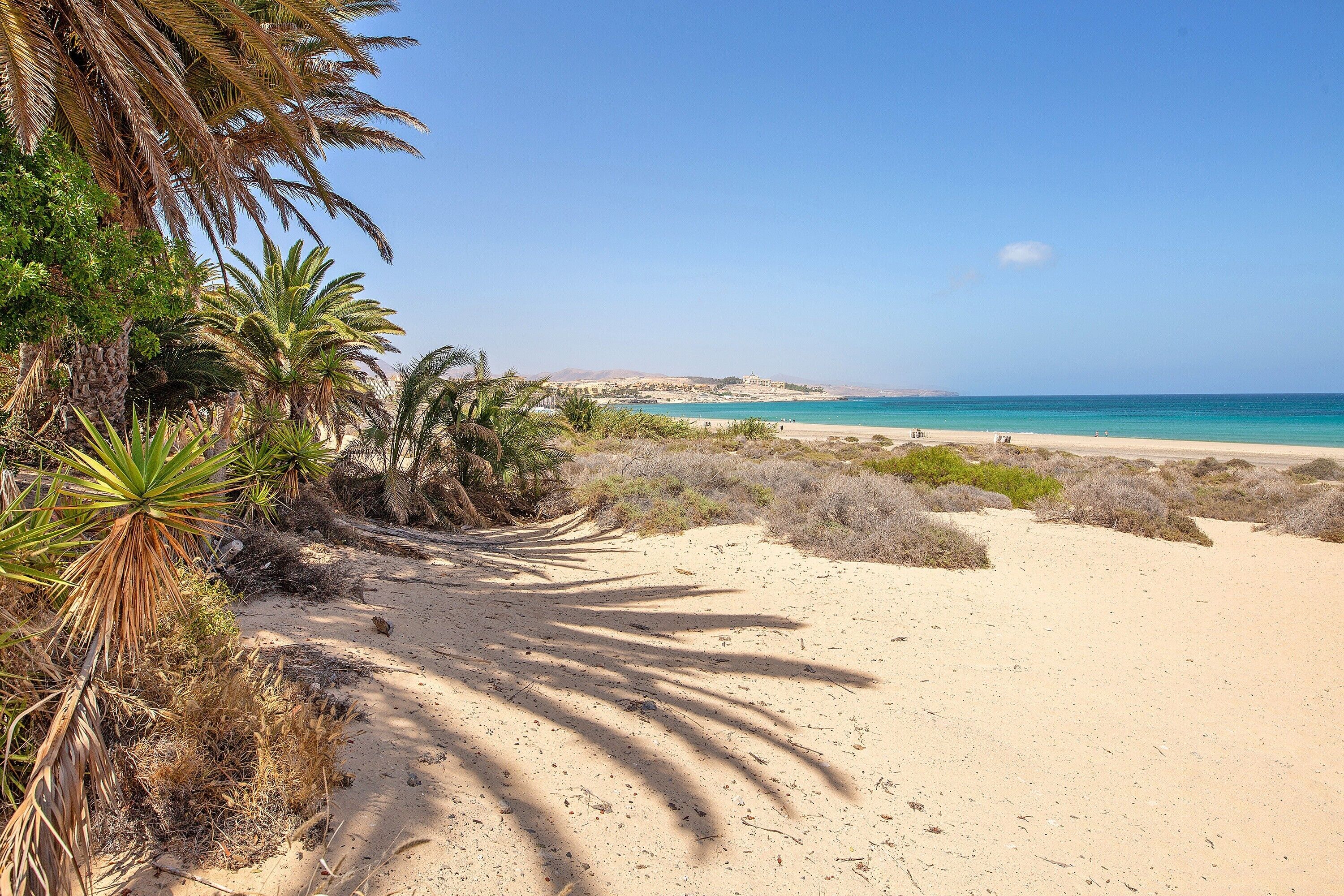 Plage à proximité