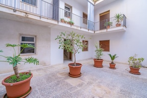 Un patio con plantas en macetas, un pequeño árbol y un edificio con balcones.