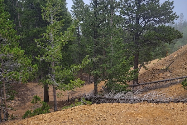 Área da propriedade