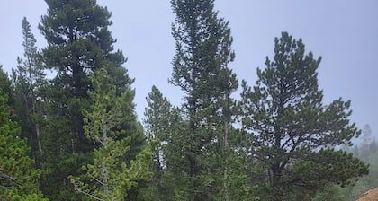 Quiet, Rural, Colorado Mountains Campground