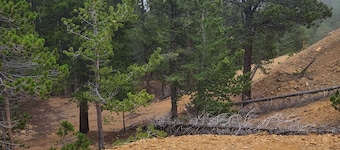 Quiet, Rural, Colorado Mountains Campground
