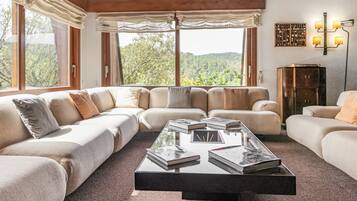 TV, fireplace, ping pong, stereo