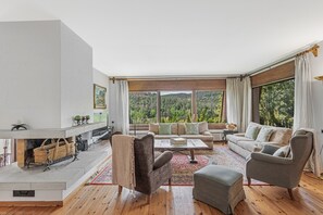 TV, fireplace, table tennis, stereo