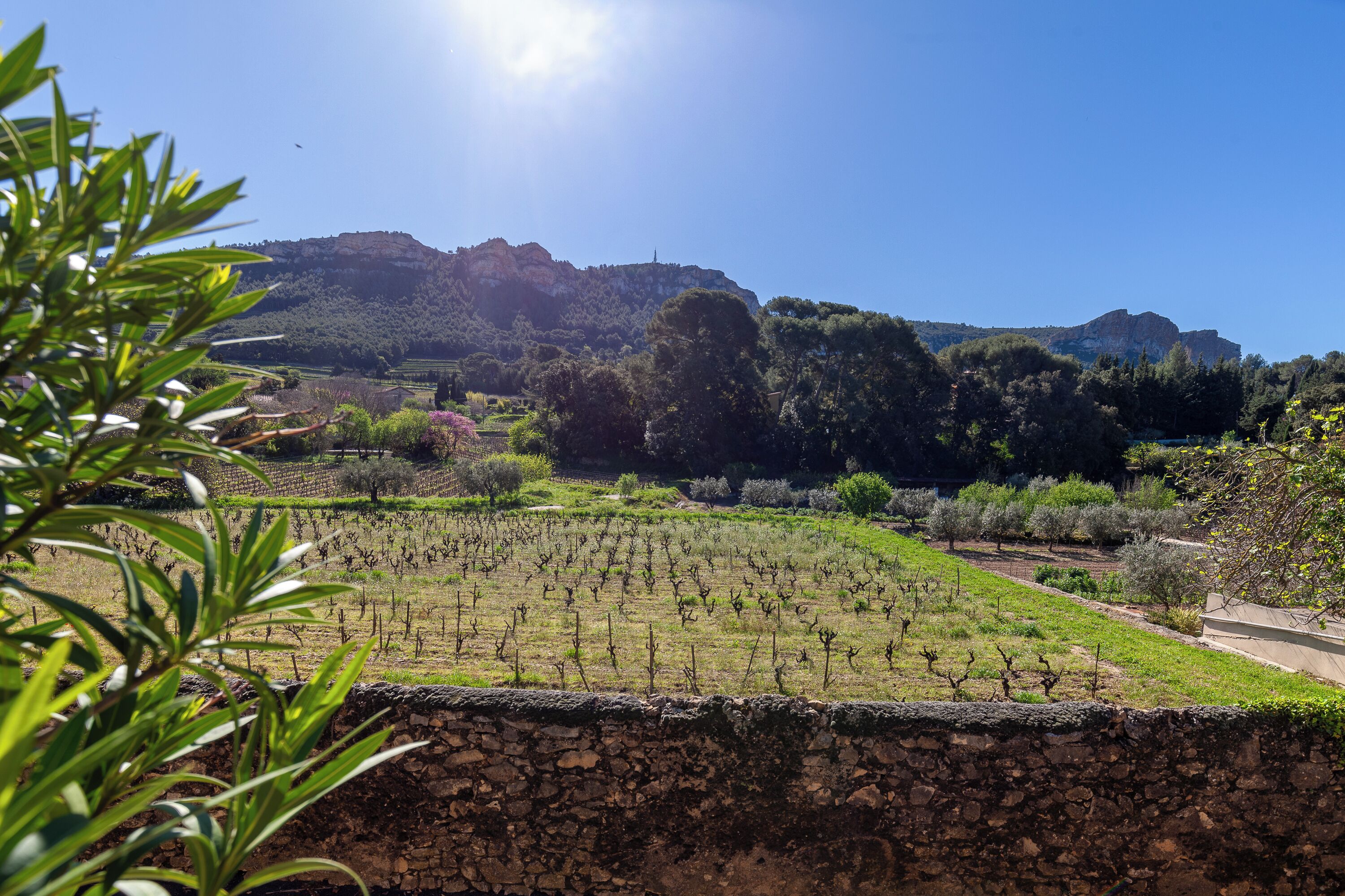 Terrein van de accommodatie