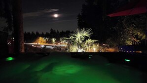 Una vista notturna di un’area paesaggistica con uno stagno, piante illuminate e una strada in lontananza con veicoli in movimento.
