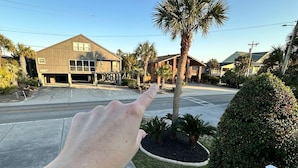 Una mà assenyala una palmera en una zona residencial amb cases i un cel clar.