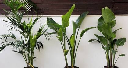 Rafia Loft Loutraki: Heated Pool, Billiard I Beach