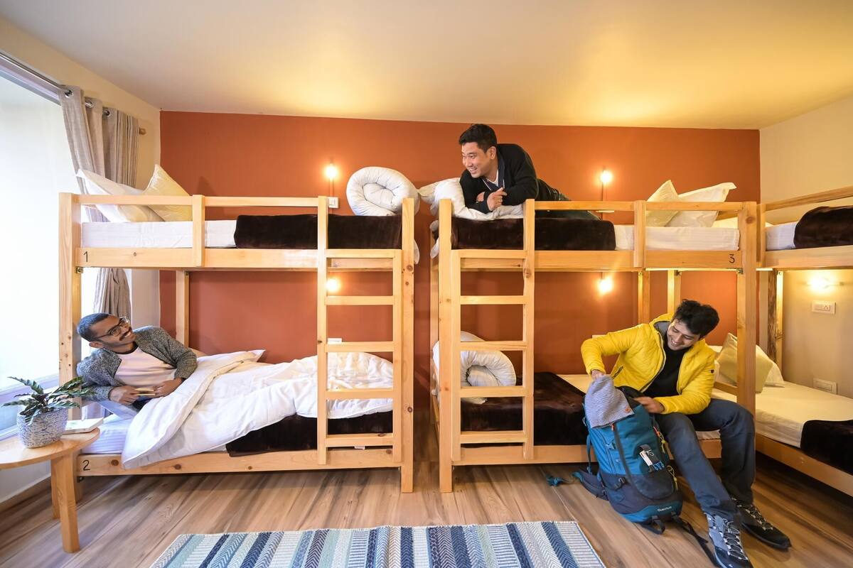 A dormitory-style room with bunk beds, a small table with a plant, and a rug on the floor.