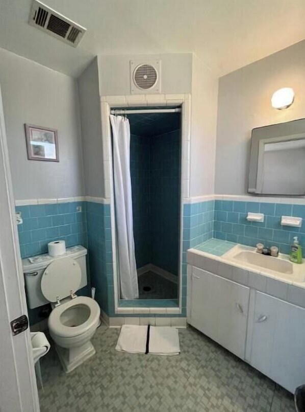 Hair dryer, towels, toilet paper - Spacious Family Home in Pensacola  (Pensacola)