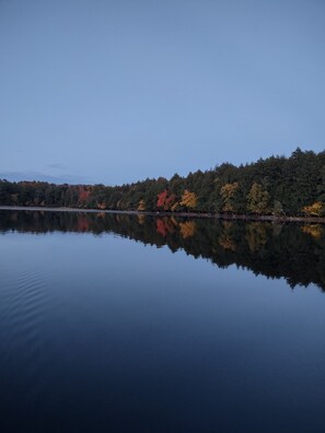 Un lac paisible, bordé d’une forêt dont les arbres se reflètent dans l’eau.