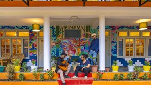 Fachada colorida de un edificio con murales vivos, una escalera y plantas en macetas.