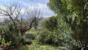 Property grounds - Vacation home Bruna by Interhome (Dolcedo)