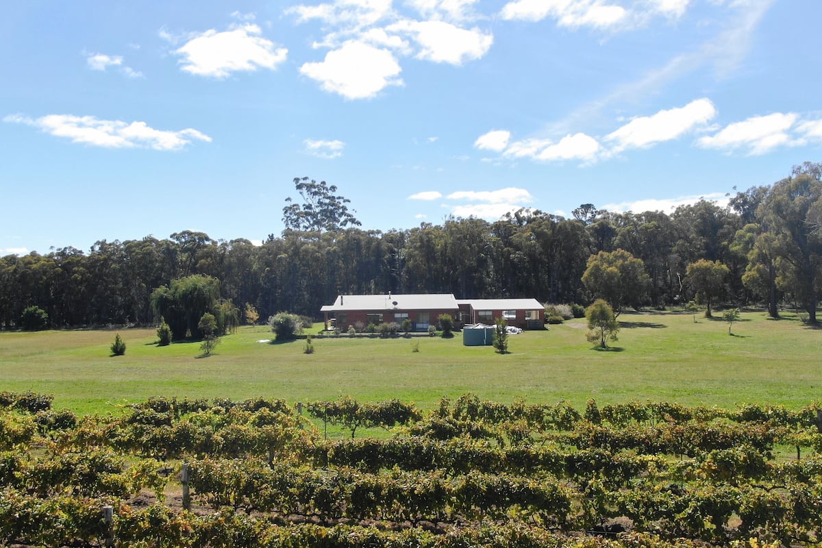 2 KingBds, 2 Bathrms, 2 loungeRms, Full Kitchen, Sauna | Vineyard view