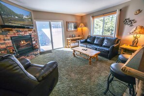 Fernseher, Kamin, DVD-Player, Videothek