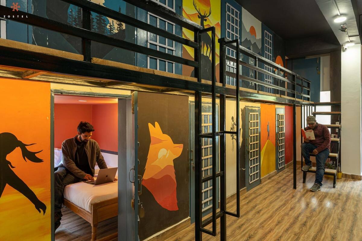 A hostel room with bunk beds, a desk, and a bookshelf.