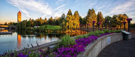 Terrain de lâhĂ©bergement