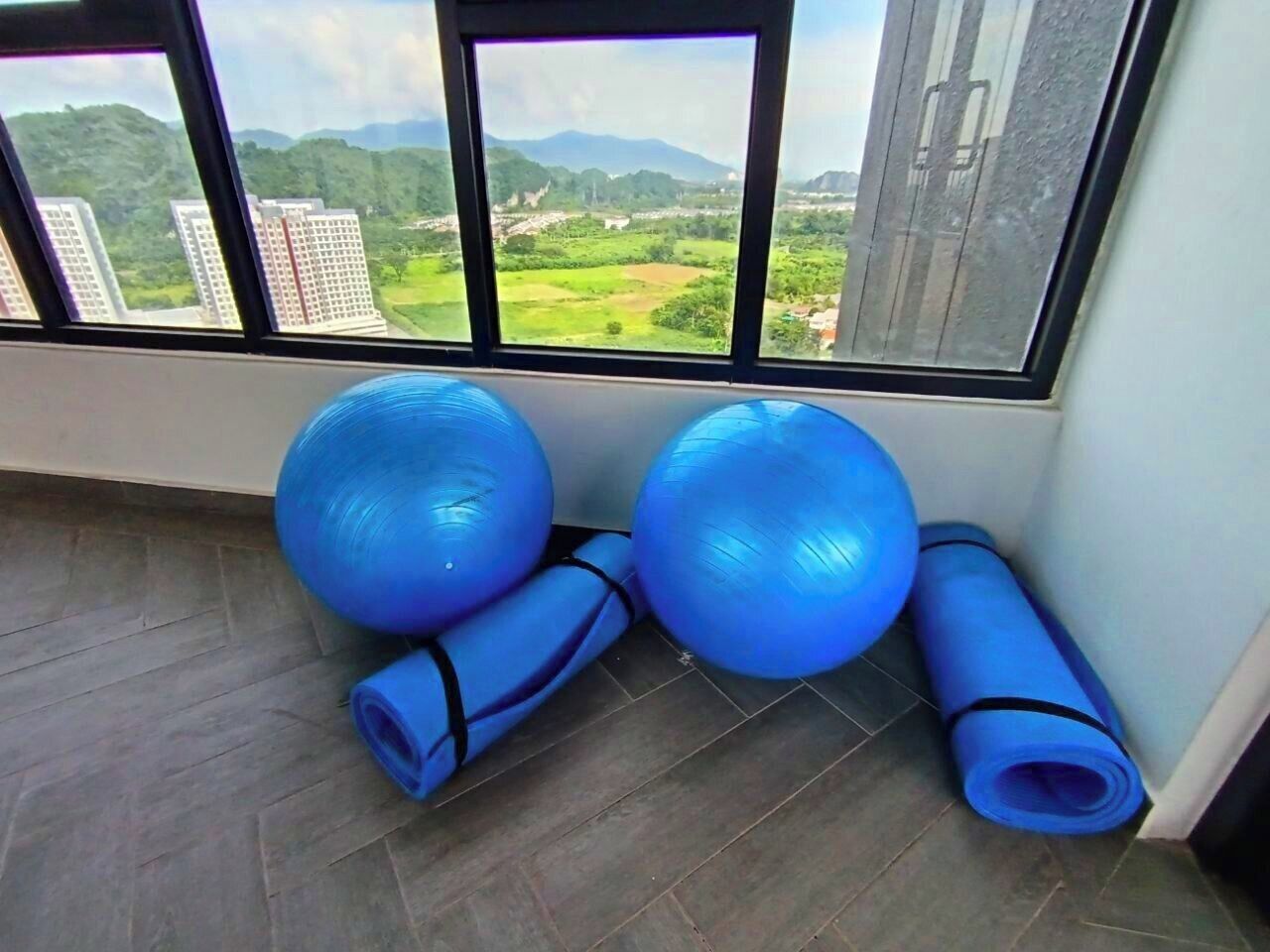 Gimnasio