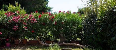 Terrain de lâhĂ©bergement