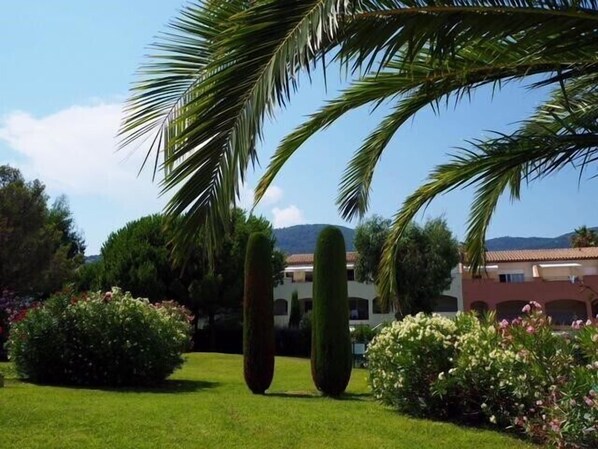 A well-maintained garden with a lawn, palm trees, and flowering bushes.