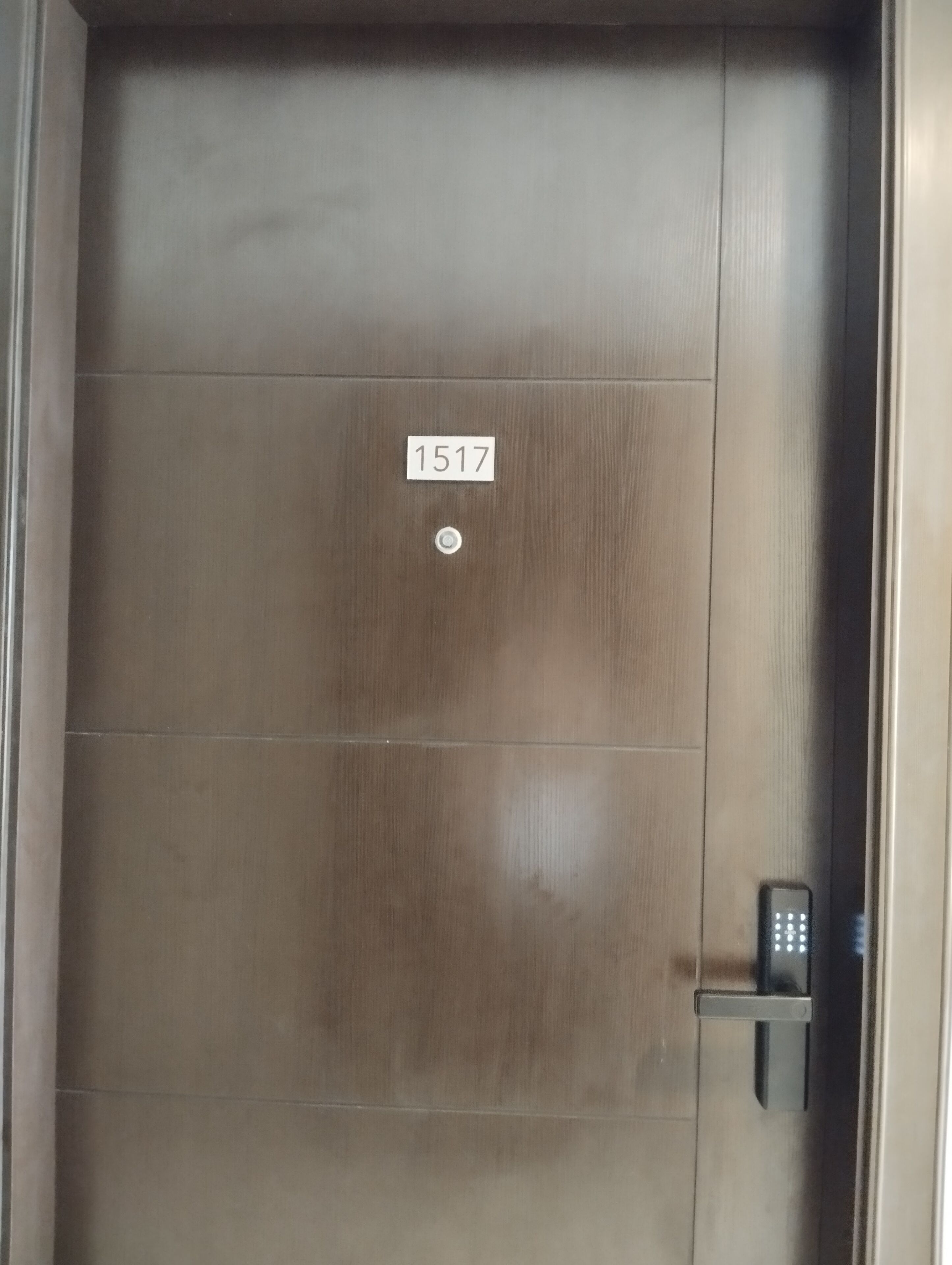 A door with a number plate labeled "1517" and a modern electronic lock.