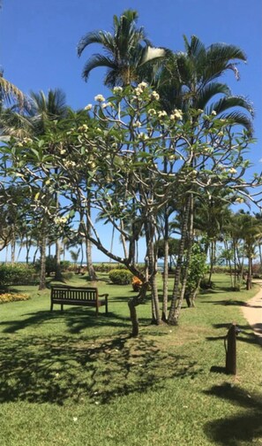 Property grounds - M3 Riviera Inn Residence 84 (Bertioga)