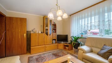 Televisión, chimenea, estéreo