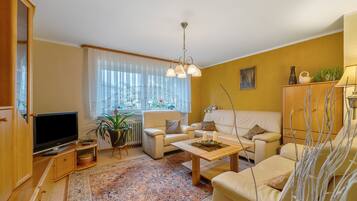 Télévision, cheminée, chaßne hi-fi