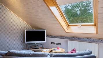 Fernseher, Stereoanlage