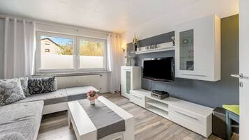 Fernseher, Stereoanlage