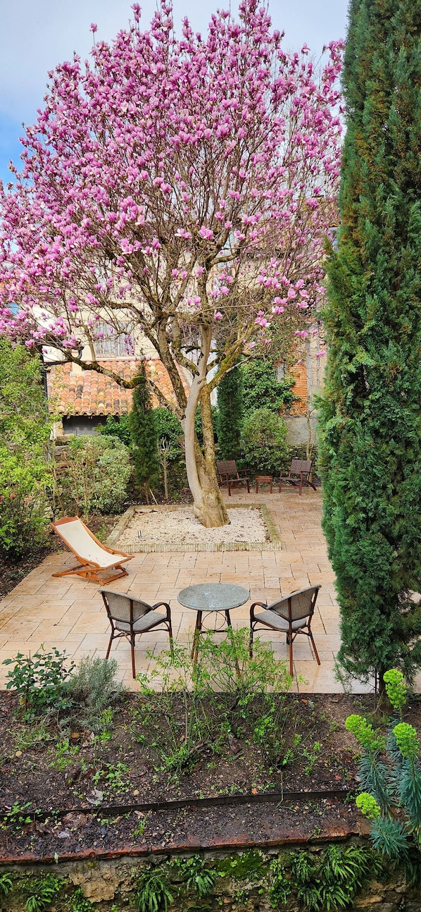 Deluxe Apartment | Garden view