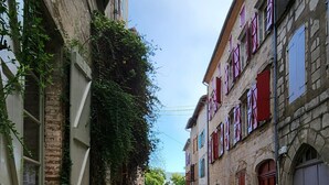Una calle empedrada bordeada de edificios históricos, algunos con contraventanas rojas y hiedra en las paredes.