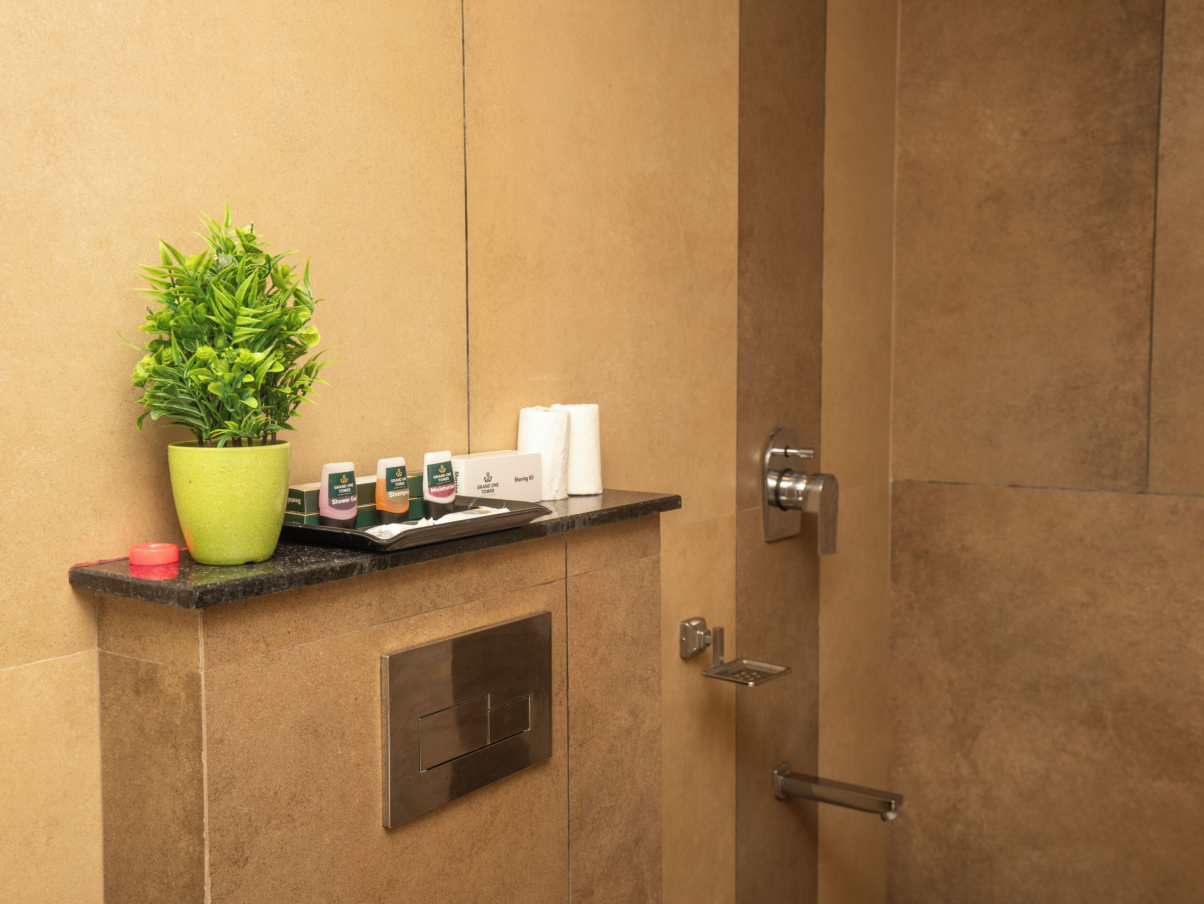 Un baño con zona de ducha, una planta en maceta y artículos de aseo en un estante.